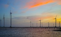 El potencial del desarrollo de energía eólica en Vietnam 