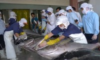 Vietnam por construir una industria de pesca sostenible 