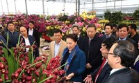 Líder parlamentaria visita comunas rurales de nuevo estilo en provincia de Hung Yen