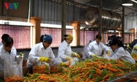 Promoción de conexión, clave para el crecimiento de las exportaciones de los productos agrícolas vietnamitas