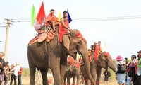 Organizan competición de elefantes en el marco del Festival de Café de Buon Ma Thuot