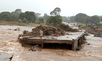 Huracán Idai no afecta a vietnamitas en Mozambique  