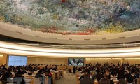 ONU aprueba resolución propuesta por Venezuela sobre los derechos humanos 