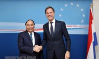 Primer ministro de los Países Bajos visitará Vietnam 