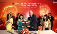 Los Países Bajos fortalecen cooperación con Ciudad Ho Chi Minh y diferentes localidades vietnamitas  