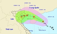 Vietnam preparado para la llegada del tifón Wipha