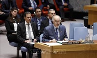 Sin respaldo en Consejo de Seguridad propuestas de resoluciones sobre Siria