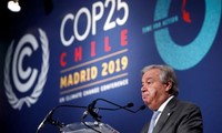 Jefe de ONU insatisfecho con resultado de Cumbre de COP 25