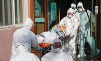 Reportan 7 muertes por el Covid-19 en Corea del Sur