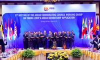 Celebran en Da Nang IX reunión del Grupo de Trabajo del Consejo Coordinador de la Asean