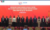 Celebran en Da Nang reunión preparatoria de altos funcionarios de Economía de Asean  