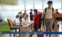 Viajeros deben realizar declaraciones médicas para vuelos domésticos en Vietnam