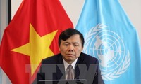 Vietnam llama a la cooperación internacional para ayudar a países afectados por coronavirus
