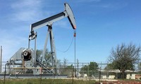 AIE: “Demanda mundial de petróleo caerá a un nivel récord en 2020”