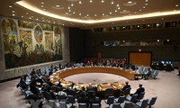 Vietnam preside reunión en línea con los demás países miembros no permanentes del Consejo de Seguridad 