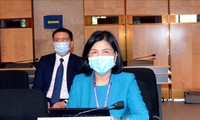 Activa Vietnam en 44 período de sesiones del Consejo de Derechos Humanos de la ONU