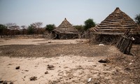 Vietnam e Indonesia llaman a resolver disputas en Abyei por medios pacíficos