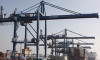 Aumenta la carga transportada a través de puertos vietnamitas en 2020