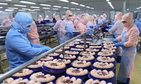 EVFTA promueve exportaciones agrícolas de Vietnam a los Países Bajos