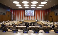 ONU insta a Somalia a celebrar elecciones generales de inmediato