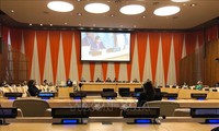 Expertos internacionales aprecian el papel activo de Vietnam en el Consejo de Seguridad de la ONU