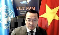 Vietnam pide que se cumpla con el alto el fuego en Libia