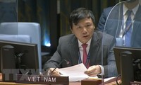 Vietnam preocupado por violencia y discriminación racial en Cisjordania