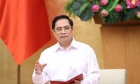 Premier de Vietnam trabaja con ocho localidades sureñas sobre situación epidémica 
