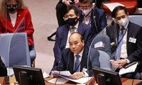 Asistencia del presidente de Vietnam en el próximo debate de la ONU demuestra la atención del país a la cooperación con África