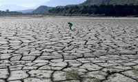 Científicos internacionales piden acciones urgentes para detener el calentamiento global