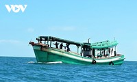 Vietnam se esfuerza por el levantamiento de la tarjeta amarilla sobre la pesca aplicada por la Comisión Europea 