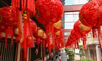 Países asiáticos celebran el Año Nuevo Lunar