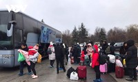 Cerca de 400 vietnamitas llegaron sanos y salvos a Rumania de Ucrania