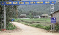 Jóvenes de Yen Bai promueven el alumbrado y la renovación rural 