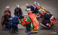 Programa “Colorida cultura de los grupos étnicos vietnamitas“
