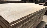 Estados Unidos emitirá su conclusión final sobre productos de contrachapado de madera vietnamita en octubre 