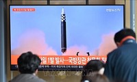Corea del Sur, Estados Unidos y Japón debaten medidas contra Corea del Norte  