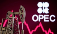OPEP+ acuerda aumentar producción de crudo a 648.000 barriles diarios 