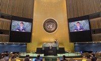 Vietnam apoya todos los esfuerzos por desnuclearizar la península de Corea por medios pacíficos