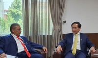Vietnam cimienta lazos con Indonesia y Brunéi