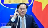Entrevista telefónica entre cancilleres de Vietnam y Corea del Sur