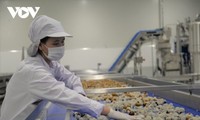 Vietnam aspira a convertirse en uno de los 10 principales centros de procesamiento agrícola del mundo para 2030