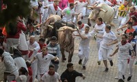 Tres personas murieron en festival de carreras con toros en España