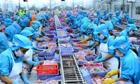 Aumenta 13% el valor de exportación de productos agropecuarios de Vietnam 
