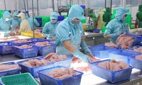 Exportaciones pesqueras de Vietnam aumentan 38 % en nueve meses