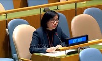 Destacan logros de Vietnam en garantía de derechos humanos y laborales