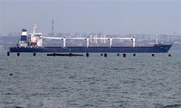 Naciones Unidas pide una solución urgente a la congestión de buques graneleros en el Mar Negro 