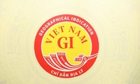Revelado el logotipo de la Indicación Geográfica Nacional de Vietnam