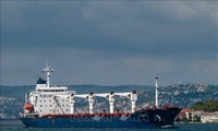 ONU anuncia reanudación de inspecciones de buques en el marco de la Iniciativa de Granos del Mar Negro 