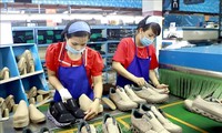Vietnam, un punto brillante de crecimiento económico en Asia-Pacífico, según medio tailandés